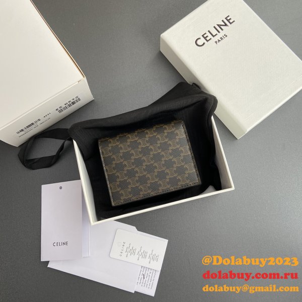 Perfect celine TRIOMPHE wallet