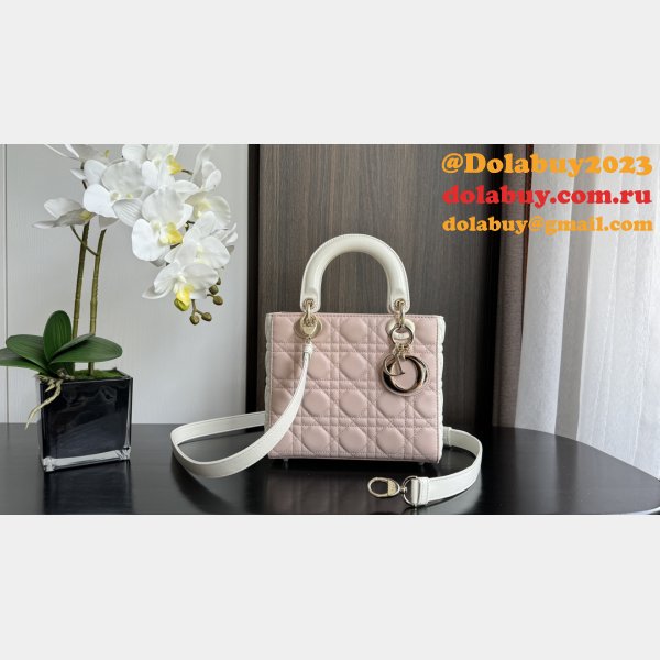 Perfect Quality High Quality bag Christian Lady Dior 17/20cm Bags