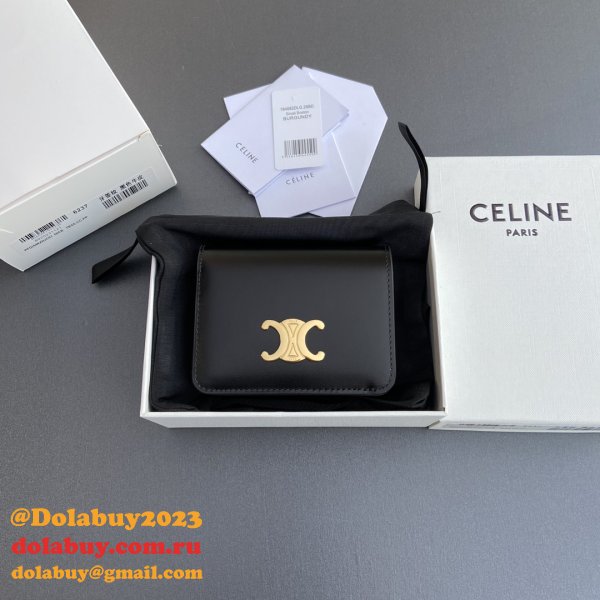 Perfect celine TRIOMPHE 1:1 Mirror wallet