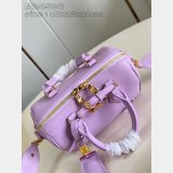 Shop Top M24598 Louis Vuitton Speedy Cheap Purple Best Bag