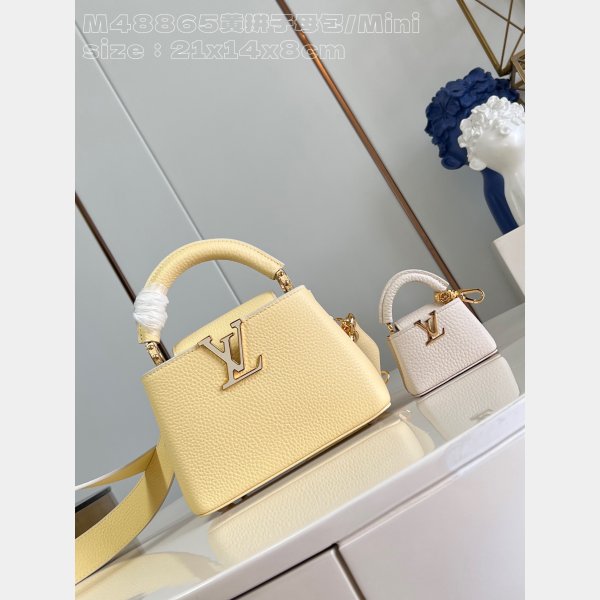 Louis Vuitton 7 Star M48865 Mother-Child Capucines High-Quality Wholesale Bags