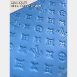 Knockoff Louis Vuitton Coussin Bleuet H27 Designer Bag