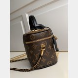 Shop Louis Vuitton Vanity PM Monogram M45165 Brown Fashion