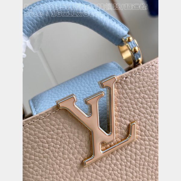 Designer Louis Vuitton Capucines AAA+ M48865 Blue Flower Bags