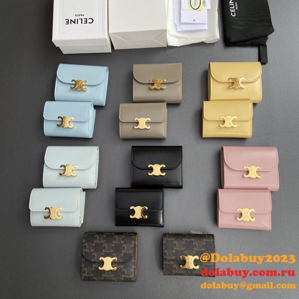 More Best The Luxury Celine Wallets Online Store