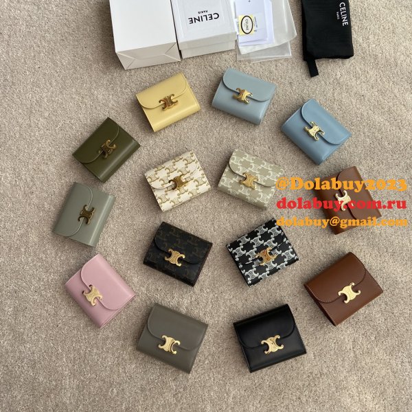 More Best The Luxury Celine Wallets Online Store