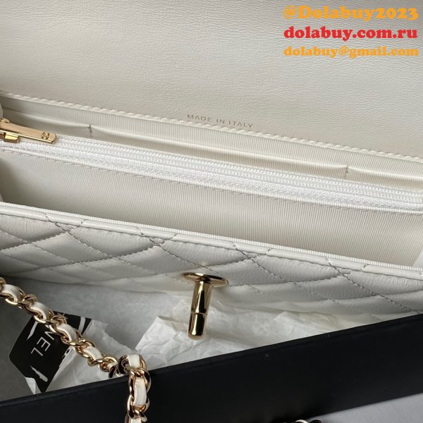 The Best Clutch With Chanin Inspired AP3954 Designer Bag