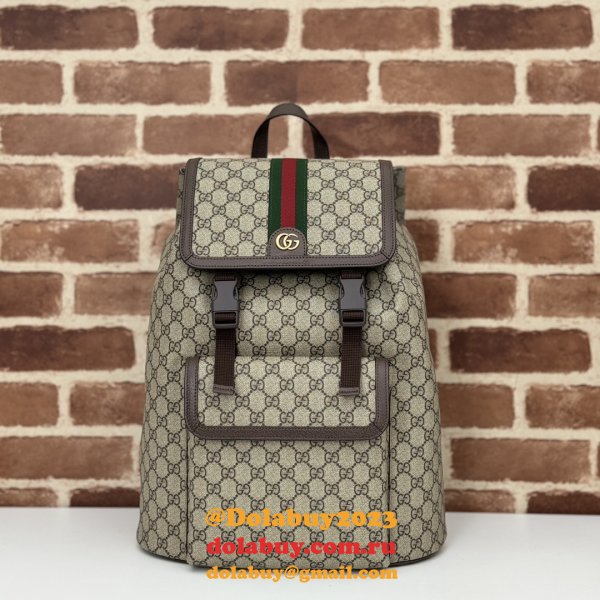 Gucci Wholesale Designer Ophidia Large GG Backpack 792104 Bag