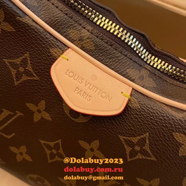 Best Louis Vuitton Monogram LV Inspired Bags M46828 s