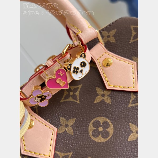 Perfect M46970 Wholesale LV Speedy Louis Vuitton 7 Star Bag