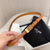 This belt bag celine Inspired