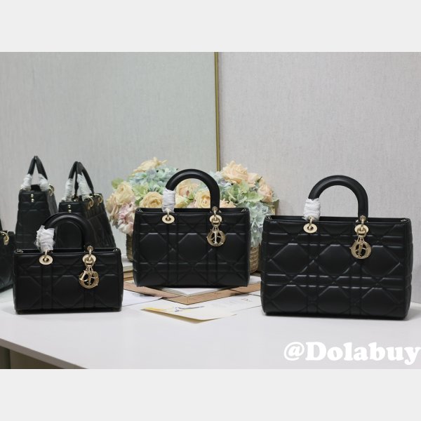 Inspired Lady D-Sire My ABC Dior handbag