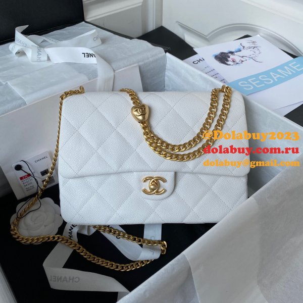 Want Luxury Buy AS3828/AS3829/AS3921 Shoulder Fashion Bag