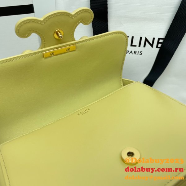 1:1 Wholesale Celine Triomphe Teen Luxury Handbag