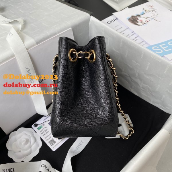 Best Online Store For Knockoff Bucket Lambskin AS3176 Bag