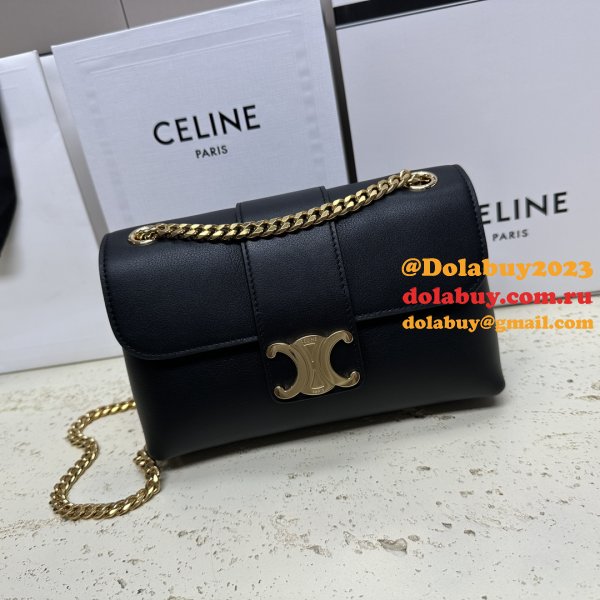 AAA+ High Quality Celine Victoire Teen 7 Star 116593 Bag