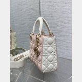 Perfect Quality High Quality bag Christian Lady Dior 17/20cm Bags