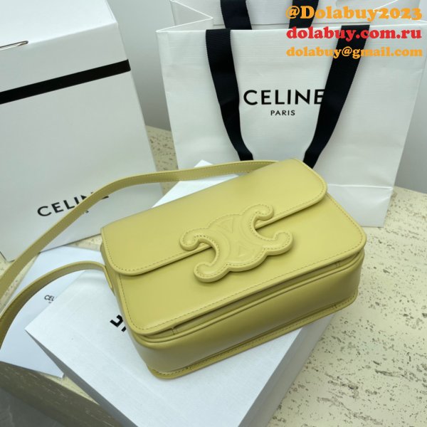 1:1 Wholesale Celine Triomphe Teen Luxury Handbag