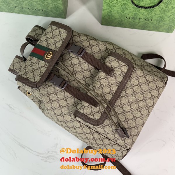 Inspired gucci Ophidia GG backpack 792114