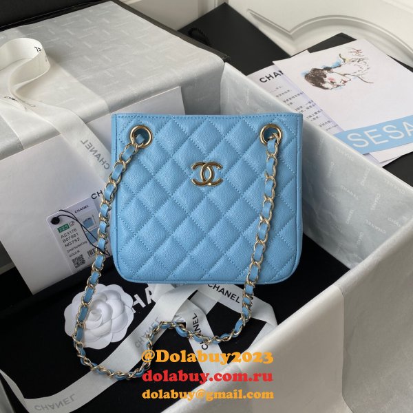 Best Online Store For Knockoff Bucket Lambskin AS3176 Bag