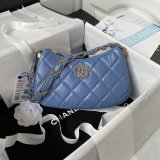 Best AAA+ AP3647/AS4422 Hobo Knockoff Designer Bags