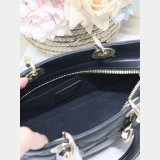 Inspired Lady D-Sire My ABC Dior handbag