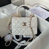 Designer AAA+ Best Duplicate Trendy Totes 20cm Bags