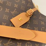 Copy Louis Vuitton Odeon PM Women's Hobo Shoulder Bag