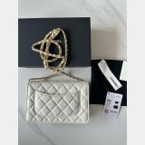 Most classical CC WOC Small caviar leather Chain bag Copy