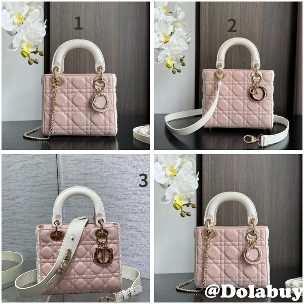 Perfect Quality High Quality bag Christian Lady Dior 17/20cm Bags