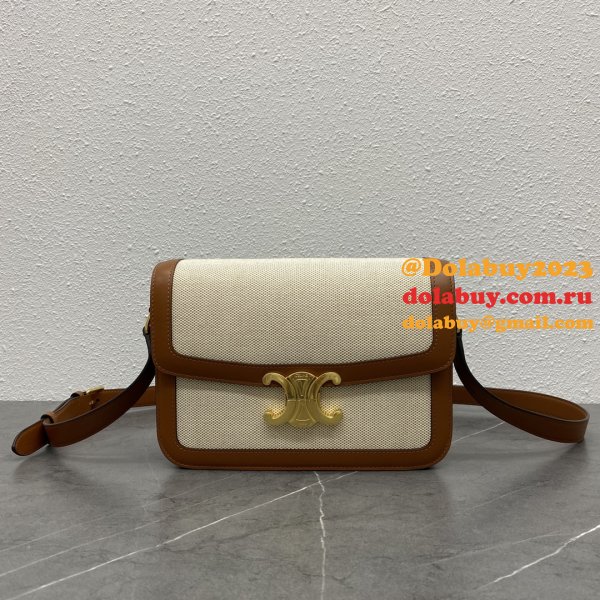 Inspired 1:1 Mirror CELINE Triomphe ONLINE selling