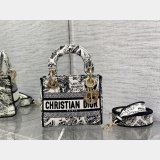 The Perfect Designer Christian Dior 17cm Bags For Sale