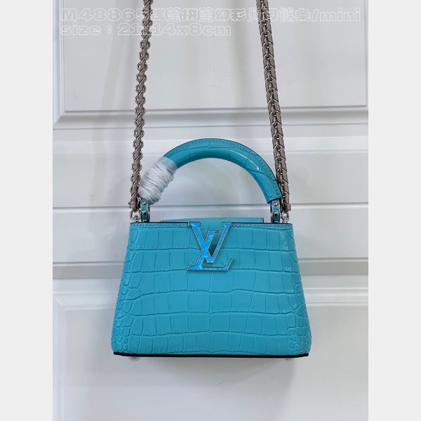 Most Affordable Fashion Louis Vuitton Capucines M48865 Bag