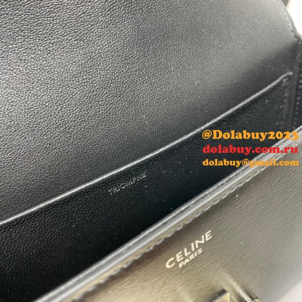 Cheap Celine Buy Fake Triomphe 20.5CM Online Sale