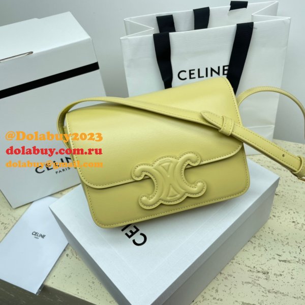 1:1 Wholesale Celine Triomphe Teen Luxury Handbag