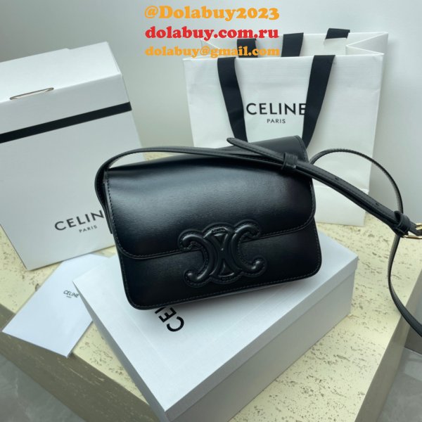 1:1 Wholesale Celine Triomphe Teen Luxury Handbag