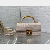 Dior 1:1 Mirror 3112 Anage Chain Handle Designer Bag