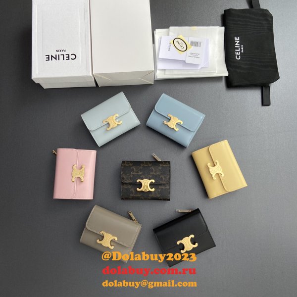 More Best The Luxury Celine Wallets Online Store