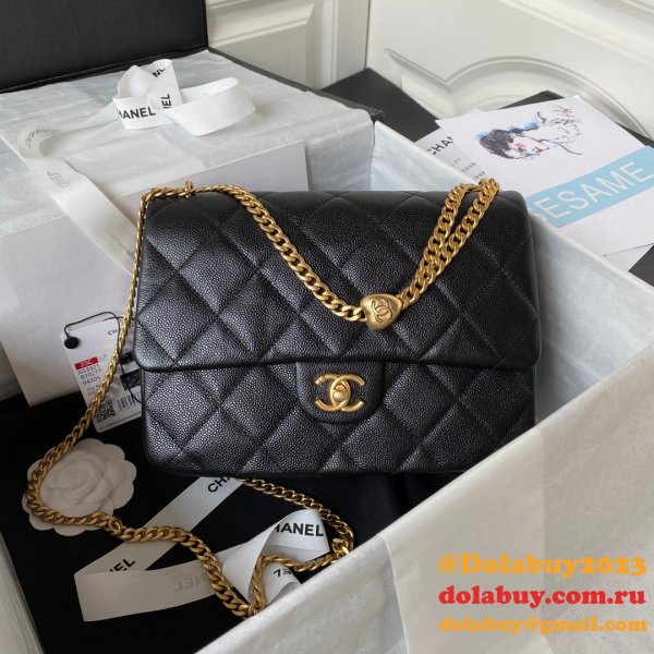 Want Luxury Buy AS3828/AS3829/AS3921 Shoulder Fashion Bag