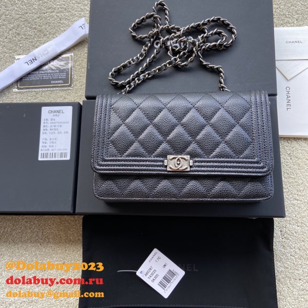 Luxury CC WOC High Quality HANDBAG A80287