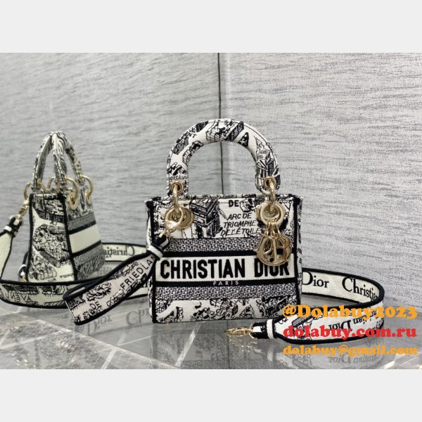 The Perfect Designer Christian Dior 17cm Bags For Sale