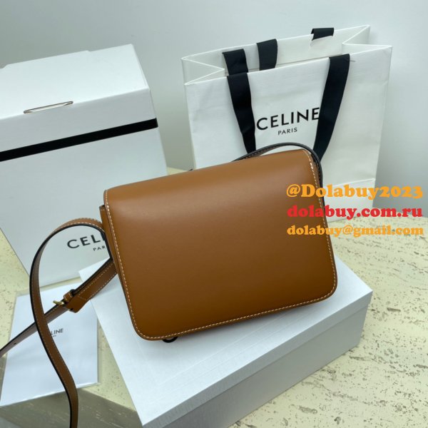 1:1 Wholesale Celine Triomphe Teen Luxury Handbag