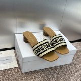 Perfect Dior Dway Slide 2024 Inspired