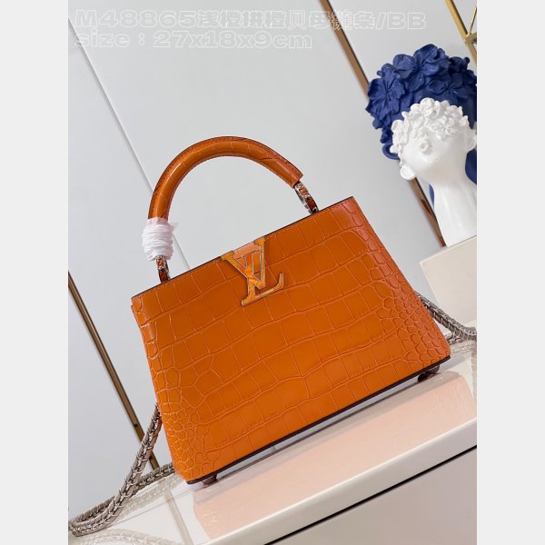 The Knockoff Quality Capucines Louis Vuitton M48865 Orange Chain Fake Bag