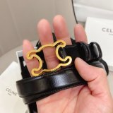 We provide Top Celine High Quality bag Belts Sell