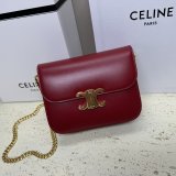 Designer Teen Triomphe Shiny 113583 Amazone Celine High Quality bag Bag