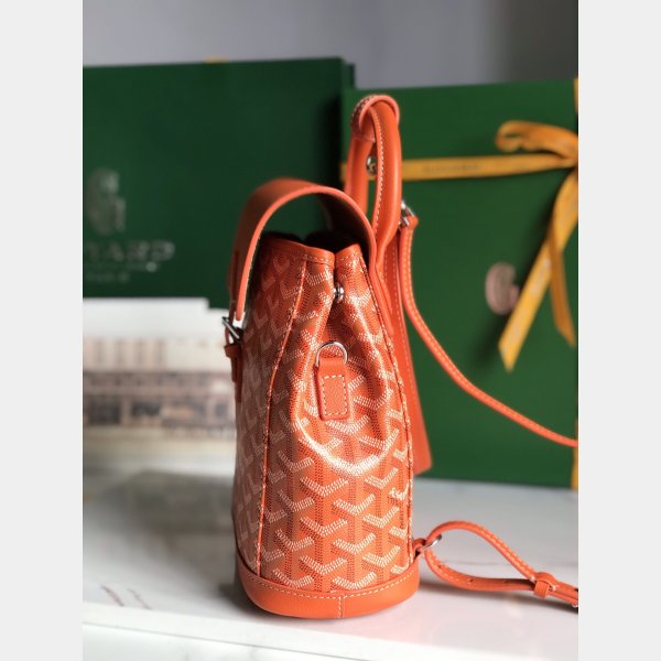 AAA+ goyard mini Alpin backpack Wholesale