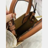 Best CELINE Triomphe Mini Cabas bags