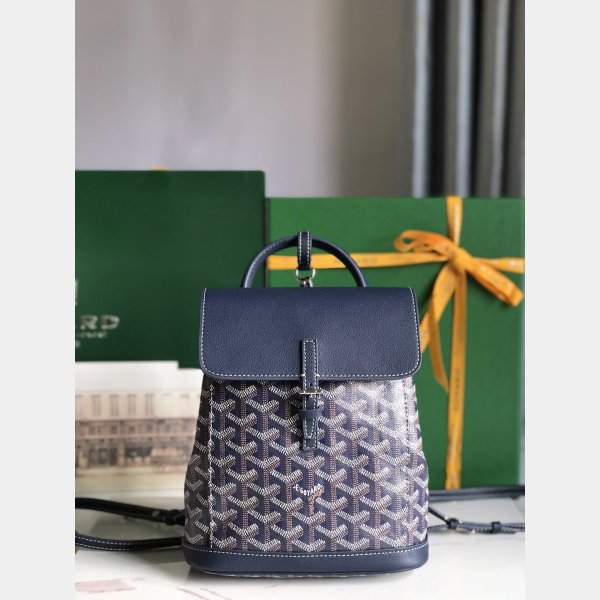 Copy Designer goyard Alpin mini backpack