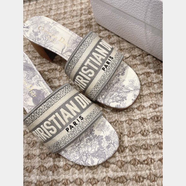 Perfect Designer Dior Dway One-word embroidered slippers Shoes Online